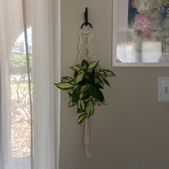 Macrame Wall Plant Holder with Iron Wall Hook - Picture 3 of 6